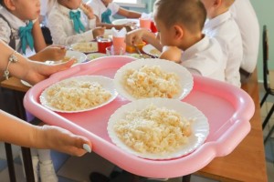 Депутаты Госдумы предложили кормить всех школьников бесплатно