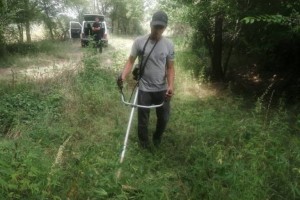 Астраханцев, на чьих участках растут наркосодержащие культуры, предупредили об ответственности