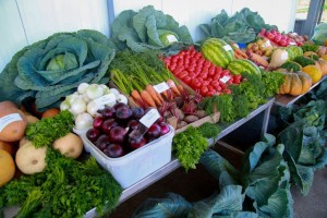 Для фермерских продуктов в&#160;России введут ГОСТ
