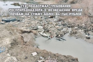 В Астраханской области мужчина загрязнил почву на 84 тысячи рублей