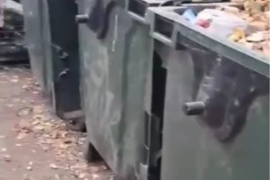 Астраханцев призывают не оставлять растительные отходы на контейнерных площадках
