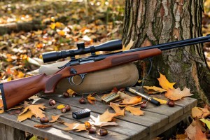 Житель Югры убил двух лосей и получил штраф