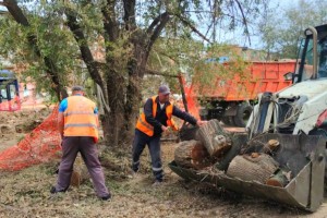 В Астрахани убрали почти 70 тонн мусора за выходные с&#160;городских улиц
