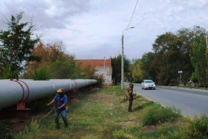 В Астрахани продолжаются работы по уничтожению сухой растительности