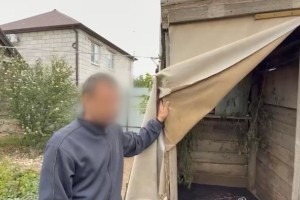 Астраханец устроил в&#160;частном дворе плантацию конопли