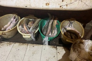 Необычную находку изъяли полицейские у&#160;рискового астраханца