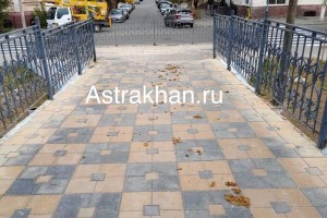 Астраханцев вновь возмутил конский навоз на центральных улицах