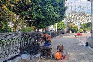 За состоянием Братского сада в Астрахани пристально следит администрация города