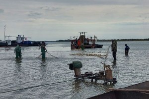 Осенняя путина: какие виды рыб преобладают в уловах астраханских рыбаков
