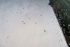 16 октября в Астраханской области возможен дождь