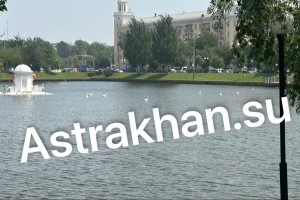 Стало известно, когда астраханские лебеди покинут знаменитое озеро