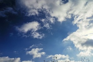 19 октября в&#160;Астраханской области будет ветрено