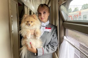Более 3,8 тыс. домашних питомцев без сопровождения хозяев перевезено на ПривЖД за 9 месяцев 2025 года