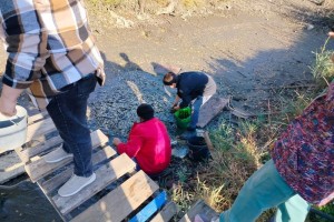 В пересыхающем астраханском водоеме школьники спасли рыбу