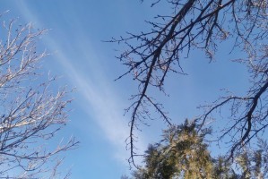 24 октября в Астраханской области будет солнечно