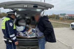В Астрахани задержали москвича с&#160;черной икрой и&#160;центнером рыбы