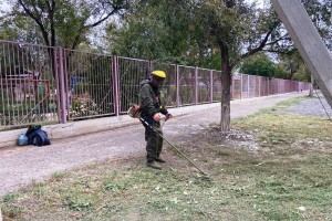 В Астрахани избавляются от сорняков