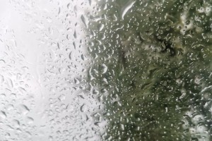 Завтра вечером в&#160;Астраханской области ожидается дождь