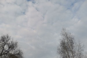 8 ноября в Астраханской области будет облачно и туманно