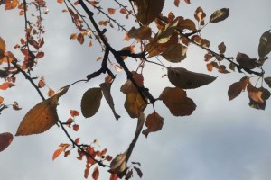 11 ноября погода будет радовать астраханцев