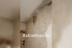 Плесень, протечки и равнодушие чиновников: жители многоквартирного дома в Нариманове на грани выживания