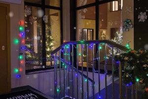 Астраханцев предупреждают о штрафах за новогодние украшения в подъезде