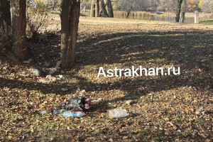 Туристический налог не работает? Берега астраханских рек утопают в мусоре