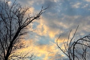 12 ноября к вечеру в Астрахани будет дождливо