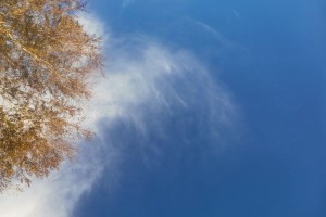 13 ноября в Астраханской области будет солнечно