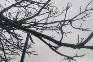 15 ноября в Астраханской области ожидаются повышенная влажность и туман