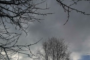 16 ноября в Астраханской области похолодает