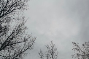 17 ноября в Астрахани будет пасмурно и прохладно