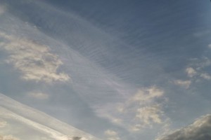 21 ноября в&#160;Астраханской области будет тепло и&#160;влажно