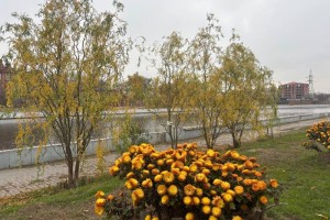 Завтра в Астрахани немного похолодает