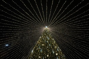 В Ахтубинске приступили к установке главной елки, а когда хвойные установят в Астрахани?