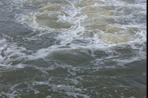 В Астрахани рабочий упал с&#160;плавучего крана в&#160;Волгу и&#160;утонул