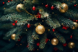 В России стали чаще брать елки в аренду