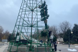 Главная елка в Астрахани будет установлена на площади Ленина