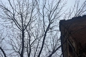 6 декабря сохранится пасмурная погода без осадков