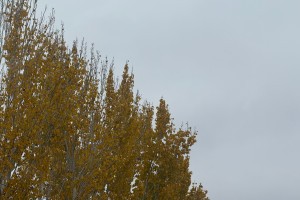 Какая погода ждет астраханцев 7 декабря