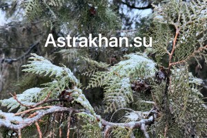 Первый снег застал астраханцев врасплох