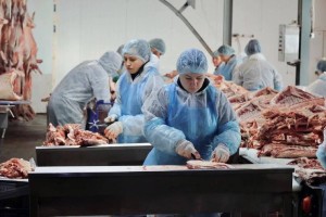 Мясопереработка в&#160;Астраханской области набирает обороты