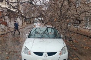 Астраханские спасатели убрали рухнувшее дерево с машины и опасный лист кровли с дома