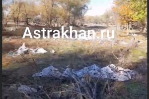 Экологическая катастрофа: в Приволжском районе продолжает расти мусорная свалка