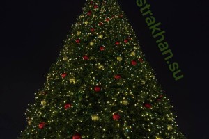 Свечение радости и проблески разочарования: как в Астрахани зажгли огни на главной городской елке