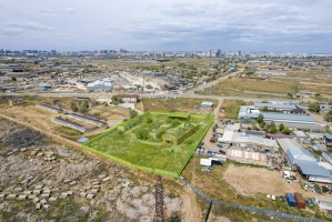 В Астрахани распродают наследие странного эксперимента с конями