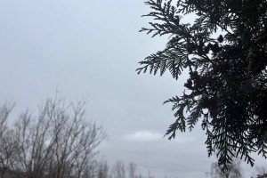 Астраханцев ждет мокрый снег, дождь, мороз и гололед