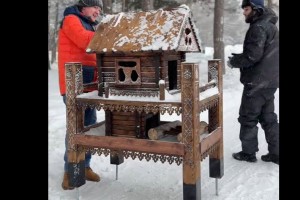 В Сургуте у белок появилось элитное жилье