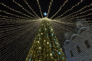 В Астраханском Кремле новогодняя ель зажглась по взмаху посоха