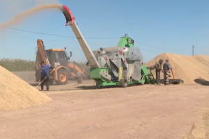 Астраханский рис покорил Беларусь